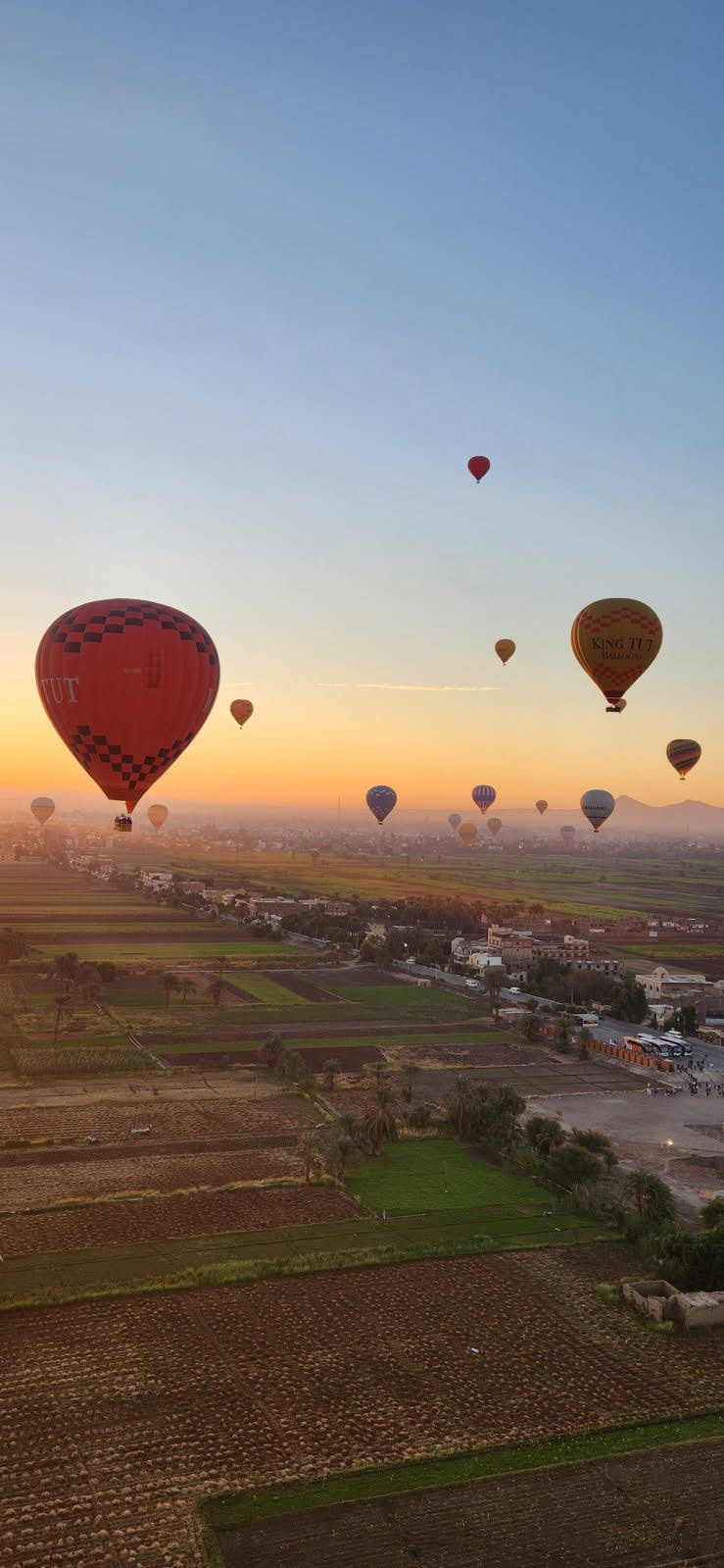 Balloons rising into a dawn sky over the Nile valley